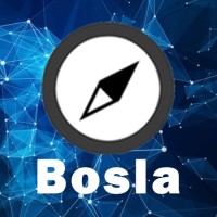 Bosla Advisor logo - Similar company to An Technology