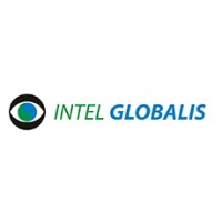 INTELGLOBALIS Consulting logo - Similar company to Sky Park Systems