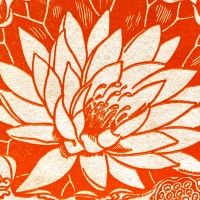 Opened Lotus logo - Similar company to Solid Foundations Constructions