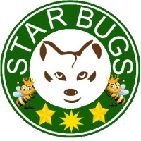 STARBUGS PLT logo - Similar company to Starbugs Academy