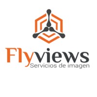 FLYVIEWS SL logo - Similar company to Scanning Solutions S.A.S