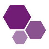 Network Insurance & Financial Planning Limited logo - Similar company to Polygon Collective