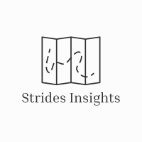 Strides Insights logo - Similar company to Toronto Brain Health