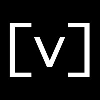 Vectorize logo - Similar company to Bronson.Ai