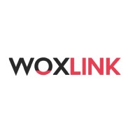 WoxLink Development logo - Similar company to Amazdiv Digital Solutions