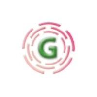 Gagellan Global Solutions logo - Similar company to Ece_ Society Nit Mizoram