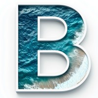 Bold Holdings logo - Similar company to Bold Solutions Provider