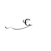 Coutern logo - Similar company to Impact Nostrum