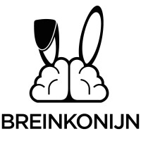 BREINKONIJN logo - Similar company to De Vrienden Van Beton