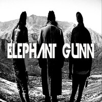 Elephant Gunn