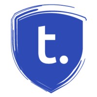 Thein Security logo - Similar company to Bchost