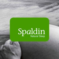 Natural Sleep logo - Similar company to Welltech Electronics