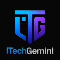 iTechGemini Pvt Ltd logo - Similar company to Risersol Technology