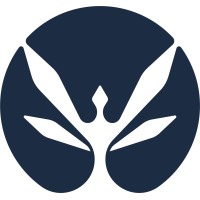 capsa logo - Similar company to Scalae Studio
