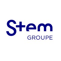 Stem Groupe logo - Similar company to Dynamic Rh