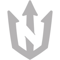 Nett7 logo - Similar company to Connectua