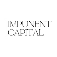 Impunent Capital logo - Similar company to Mafvm Holding