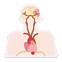 Den nasjonale konferansen om Hjertet og Hjernen logo - Similar company to Hjernerådet - (Norwegian Brain Council)