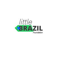 Little Brazil Foundation logo - Similar company to Wise Earth, Llc