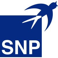 Adepcon Consultors logo - Similar company to Snp Technologies, Inc.