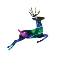 Festive Productions Ltd logo - Similar company to Festive Lights Ltd
