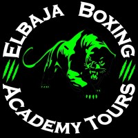 ELBAJA BOXING ACADEMY DE TOURS logo - Similar company to Samourai 2000