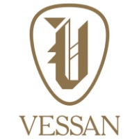 VESSAN logo - Similar company to Boutiq Real Estate