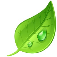 removeit logo - Similar company to Shark Bemanning Ab