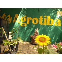 Agrotiba logo - Similar company to Marepanda S.A.