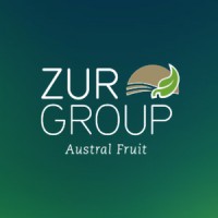 Zur Group logo - Similar company to Skydata
