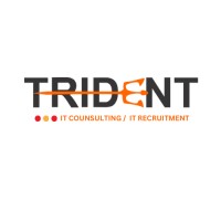 Trident IT Consulting logo - Similar company to Trident Outsourcing