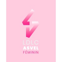 LDLC ASVEL Feminin logo - Similar company to Ldlc Vr Experience