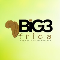 BIG3 Africa logo - Similar company to Naiccon Ltd