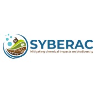SyberacHEU logo - Similar company to Restore4Cs