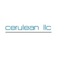 Cerulean, LLC logo - Similar company to Integrated Resources