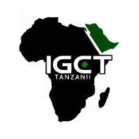 iGaming Connect Tanzania (IGCT) logo - Similar company to Igaming Giant