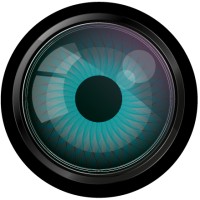 Onyx-Vision logo - Similar company to Foxis-Elec