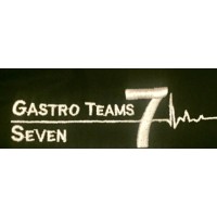 Gastro Teams Seven 7 Limited (GT77) logo - Similar company to Mela Solutions