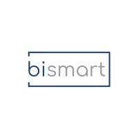 BSM Asesorias Empresariales Limitada logo - Similar company to Fastcapital
