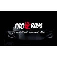 Prorays logo - Similar company to Mirajen Investment Limited