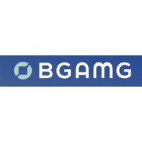 Balanced Global Asset Management Group logo - Similar company to Potente