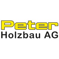 Peter Holzbau AG logo - Similar company to Gfm Systems