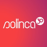 Solinca logo - Similar company to We Are Monkeys
