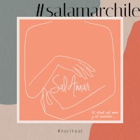 SalAmar Chile logo - Similar company to Fdl Tech Spa