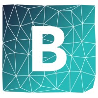 Blake Life and Risk logo - Similar company to Hunter Broking Group