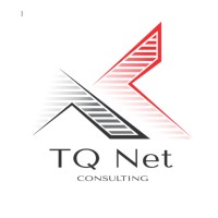 TQ NET Consulting logo - Similar company to Boutique #2
