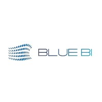 BlueBI Solution logo - Similar company to Vynzora Pvt. Ltd.