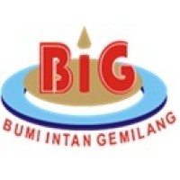 PT BUMI INTAN GEMILANG logo - Similar company to Ssc Works