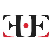 EffeConsulting logo - Similar company to Gecap Consulting