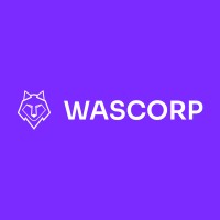 Wascorp Digital logo - Similar company to Merzol Technologies
